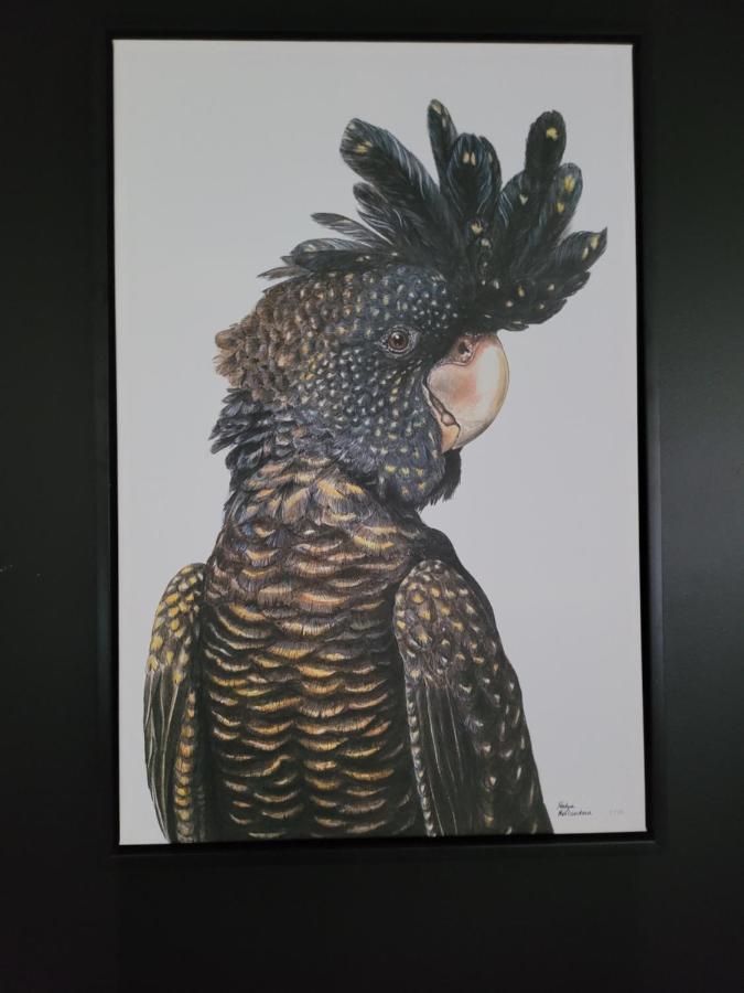 Deville At ヒールズビル エクステリア 写真
